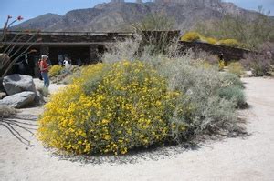 Anza-Borrego Desert State Park Visitor Center