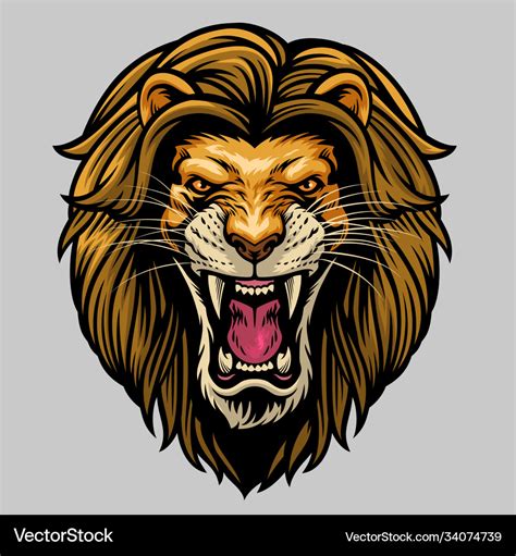 Angry roaring male lion head Royalty Free Vector Image