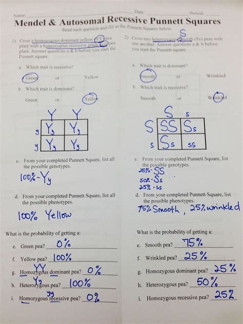 Practice Punnett Squares Worksheet With Answers