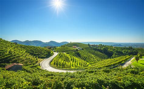 Le Colline del Prosecco di Conegliano e Valdobbiadene | ITALY Magazine