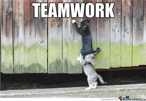 Mews: Teamwork! - Katzenworld