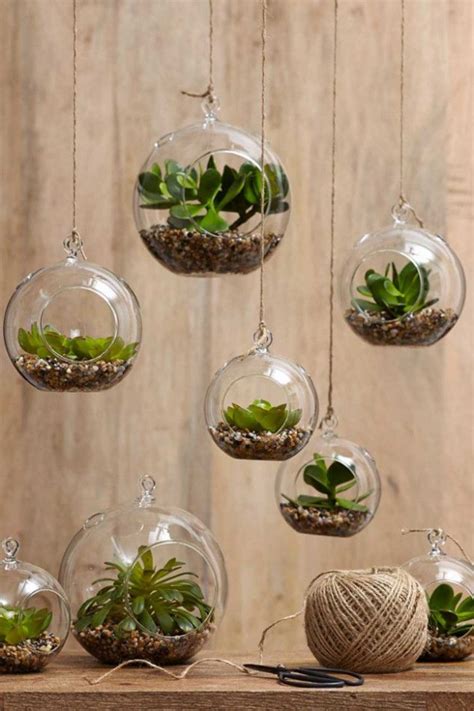 12 Creative Ideas How To Display Your Indoor Plants