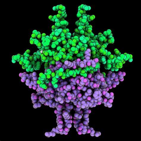 Single-stranded Dna-binding Protein Photograph by Laguna Design/science ...