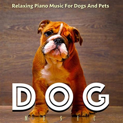 Play Dog Music: Relaxing Piano Music for Dogs and Pets by Dog Music on Amazon Music