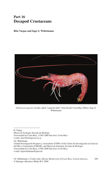 (PDF) Decapod Crustaceans