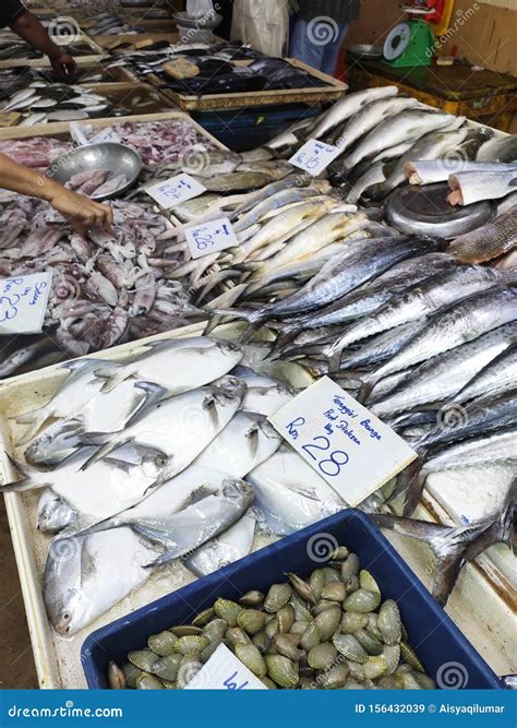 Various Types of Fish in the Fish Market are Displayed for Sale. Editorial Stock Image - Image ...