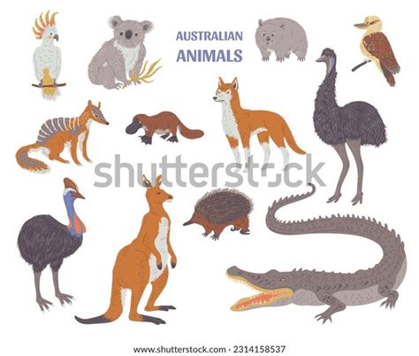 4,156 Rare Australian Animal Images, Stock Photos, 3D objects, & Vectors | Shutterstock