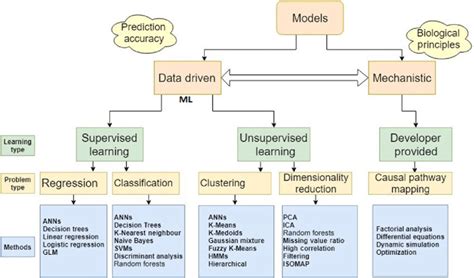 (colour online) Types of models and their classification. ML = machine ...