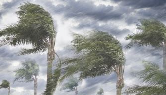 Great Hurricane of 1780 - Facts & Summary - HISTORY.com