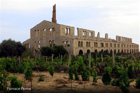 Guided Tour Montalbano Experience | Discover Montalbano's place in 4 ...