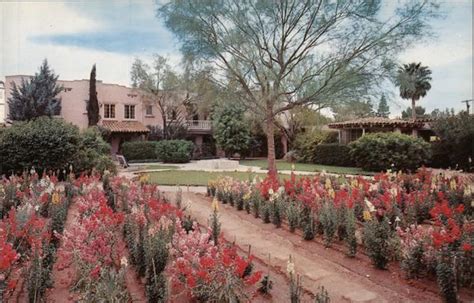 The Arizona Inn Tucson, AZ Postcard