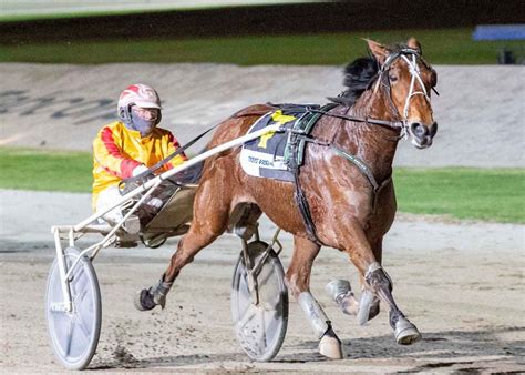 Latest New Zealand Harness Racing News & Events - Harnesslink