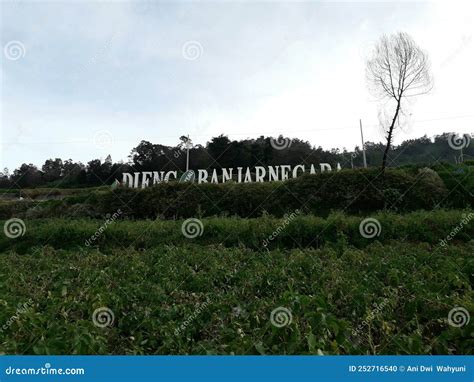 DIENG PLATEAU in Banjarnegara Central Java Indonesia Stock Photo - Image of meadow, shrub: 252716540