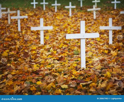 Autumn hope stock image. Image of cross, simple, leaves - 28867983