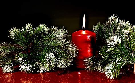 twigs, pine needles, christmas candle Wallpaper, HD Holidays 4K Wallpapers, Images and ...