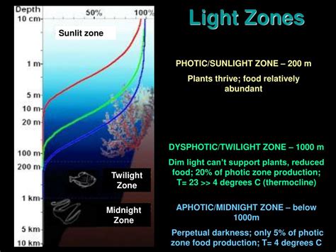 PPT - Ocean Layers PowerPoint Presentation, free download - ID:3085453