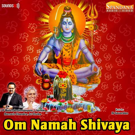 ‎Om Namah Shivaya - Album by N Govardan - Apple Music