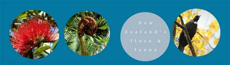 Celebrating New Zealand's flora & fauna | ECTTravel