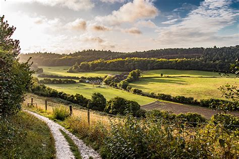 Guildford and the Surrey countryside | British Tours