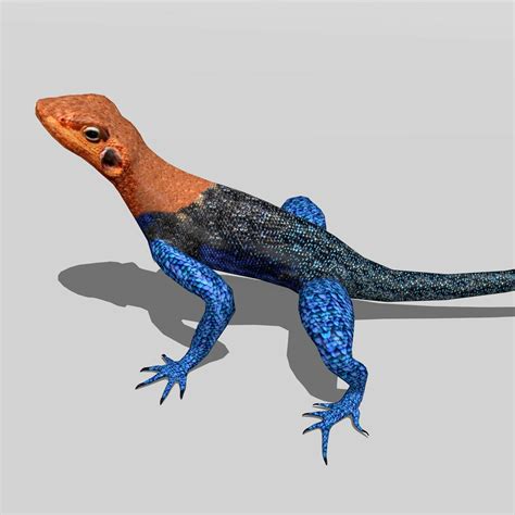 ArtStation - Agama Lizard | Resources