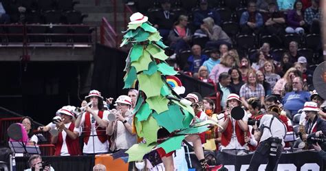 Stanford Student Suspended as Tree Mascot After Holding 'Stanford Hates ...