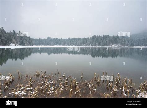 Winter at Hintersee, Berchtesgaden National Park, Berchtesgaden ...