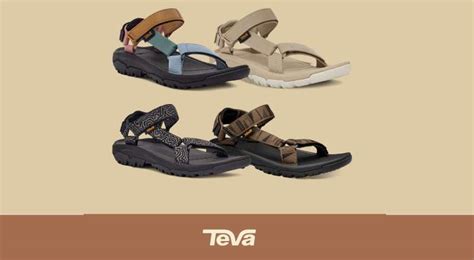 The Teva Logo History, Colors, Font, and Meaning