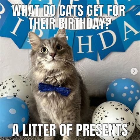 Happy Birthday Kitteh Meme