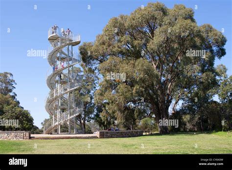 The DNA tower in Kings Park, Perth Australia Stock Photo - Alamy