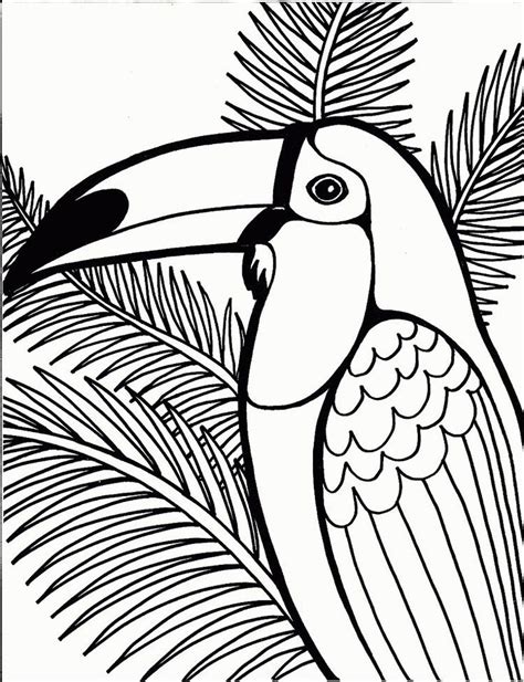 Tropical Bird Coloring Page | Animal coloring pages, Bird coloring ...