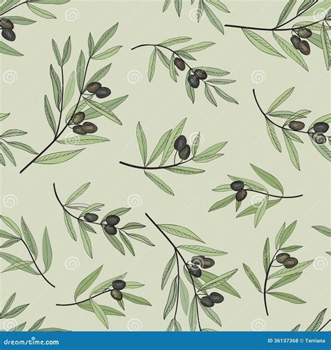 Olive Seamless Pattern. Hand Drawn Vector Background With Branch Of Green Olive Tree ...