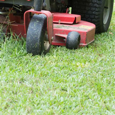 Zero Turn Mower Buying Guide | The Family Handyman