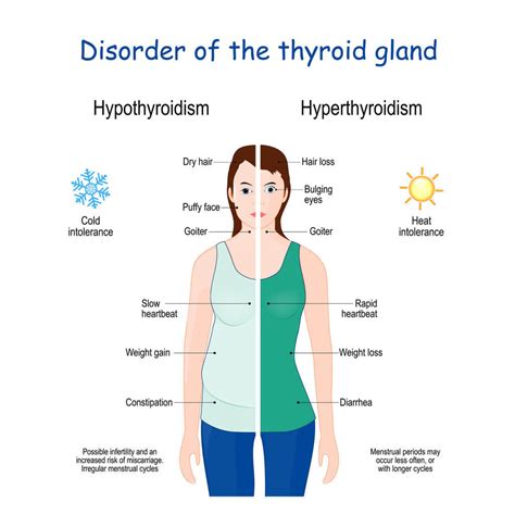 Lose Weight with Low Thyroid | Functional Medicine Tips, Tests, & Treatment | CentreSpring MD