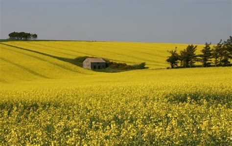 Beautiful Devon Countryside - Picture of Unique Devon Tours, Newton ...