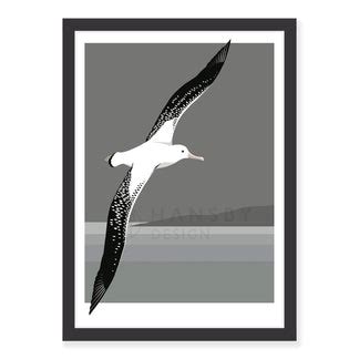 Antipodean Albatross Art Print – Hansby Design