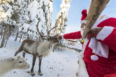 List of Santa's Reindeer Names | LoveToKnow