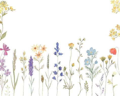 Watercolor Wildflowers Clipart, Botanical Floral, Wild Flowers ...