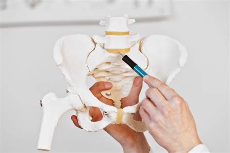 Lumbosacral Joint (L5-S1): Anatomy, Function, and Pain