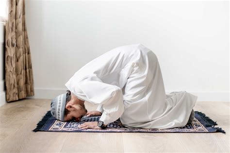 Интересные факты о зачем мусульмане молятся на коврике