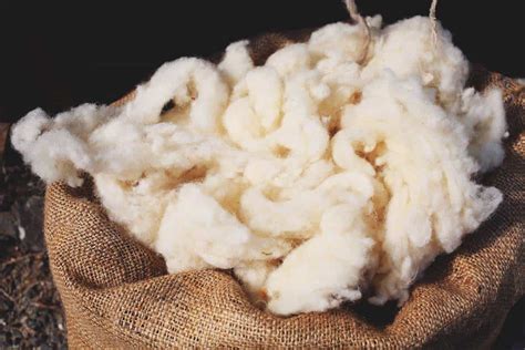 10 Uses for Wool Besides Spinning It