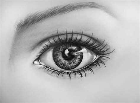 How to Draw Eyes | Eye drawing, Realistic drawings, Eye drawing simple