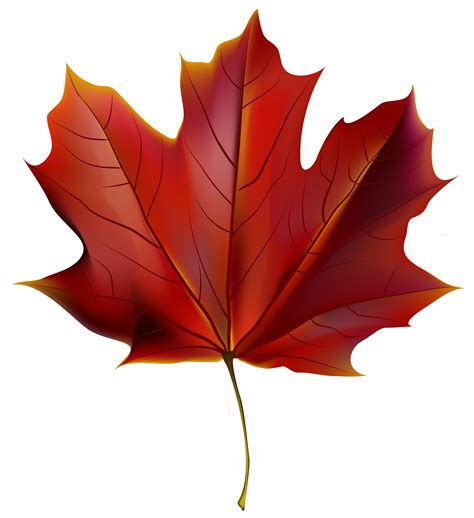 Beautiful Fall Leaf Png Clipart Image Fall Leaves Png Clip Art | Images and Photos finder