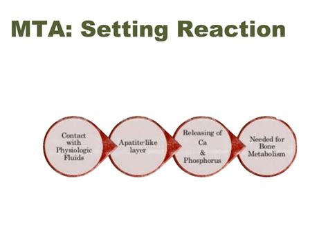 Bioceramic materials | PPT