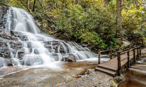 Discover When Leaves Change Color in Tennessee (and 6 Beautiful Places to See Them) - A-Z Animals