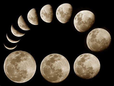 wallpaper: Moon Phases