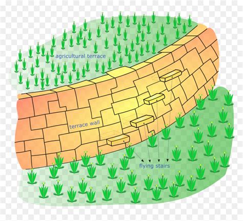 Inca Terrace-en - Inca Terrace Farming Diagram, HD Png Download - vhv