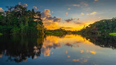 Sunset in the Amazon River Rainforest Basin, Yasuni National Park ...