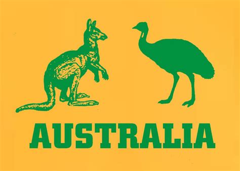 Australia Australian Supporters Football / Soccer / Cricket / Rugby Te