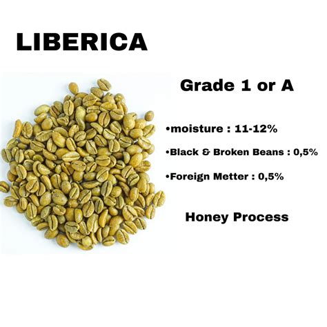 Buy Liberica Coffee Beans Grade 1 Or A from PT.Panda Alam Asia, Indonesia | Tradewheel.com