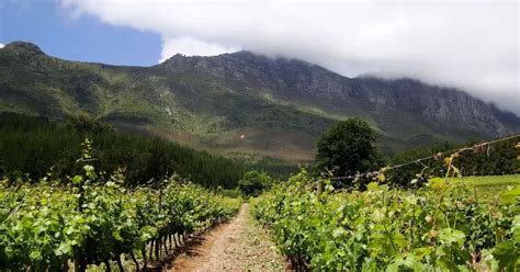 Unusual Wine Tasting Options In Cape Town